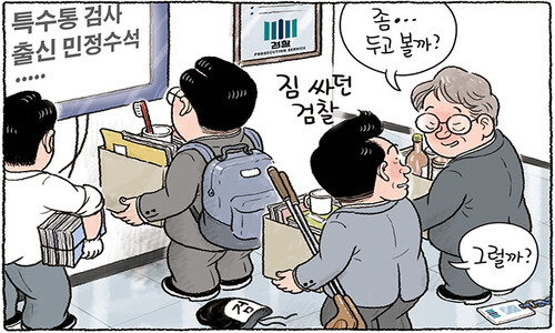 검찰개혁, 괜찮을까? [그림판]